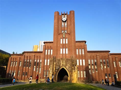 東京藝術大学 大学院 入りやすい：芸術と現実の狭間で